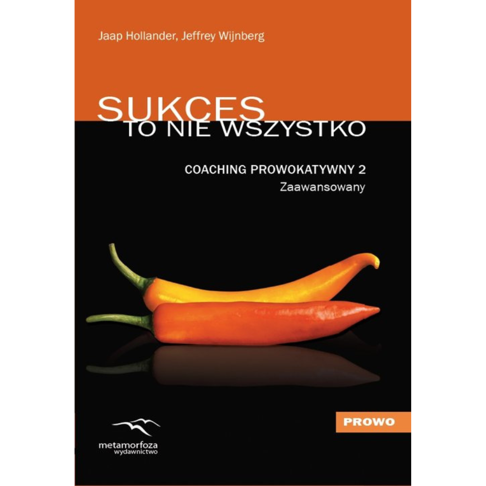 "Sukces to nie wszystko" Jaap Hollander, Jeffrey Wijnberg